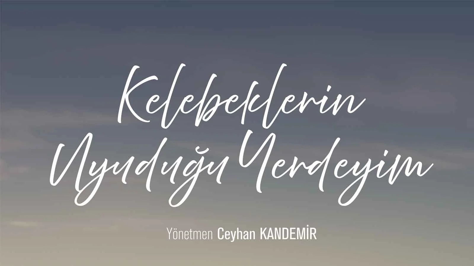 Kelebeklerin Uyudugu Yerdeyim Filmi Antakya Film Festivalinde Seyirci Ozel Odulu Kazandi 1